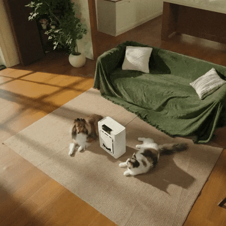 Geteasezo™ Air Purifier for Pet Owners
