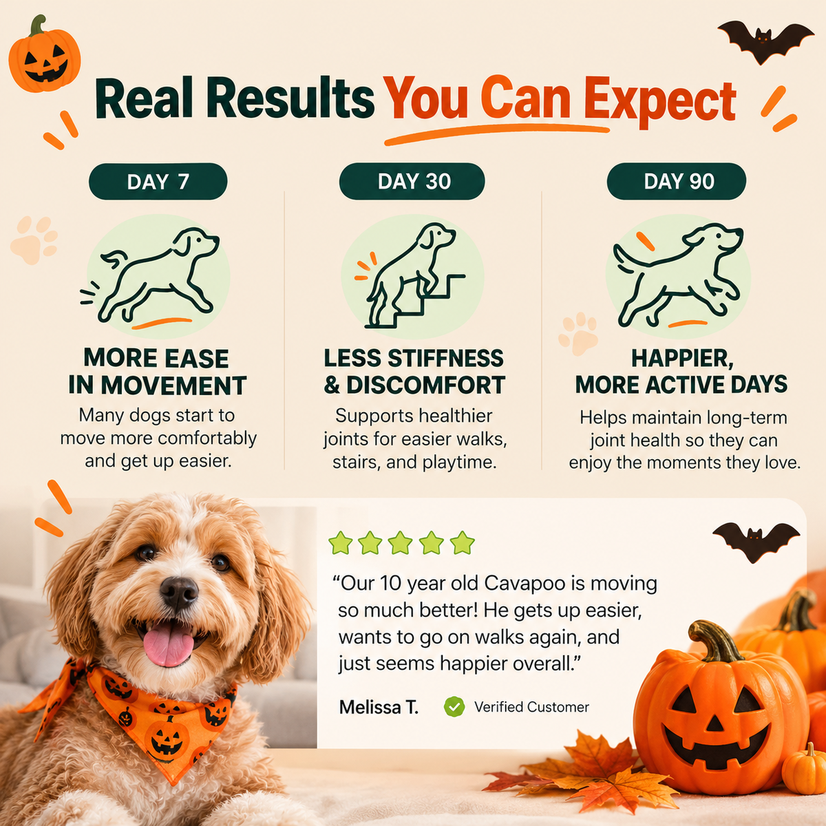 PawFlex™ Advanced Hip & Joint Support Chews