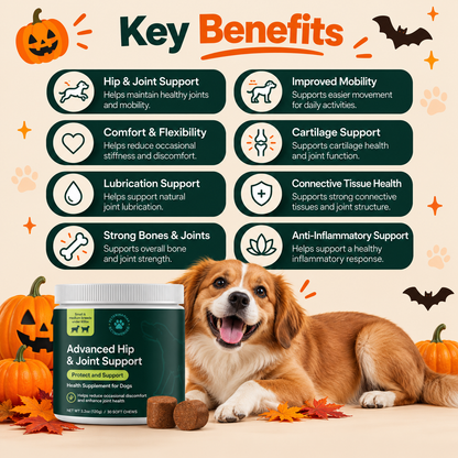 PawFlex™ Advanced Hip & Joint Support Chews