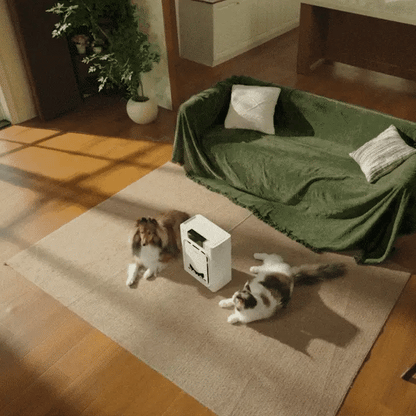 Geteasezo™ Air Purifier for Pet Owners